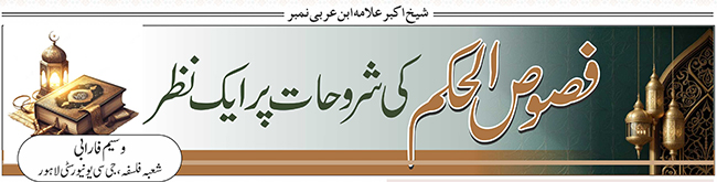 فصوص الحکم کی شروحات پر ایک نظر