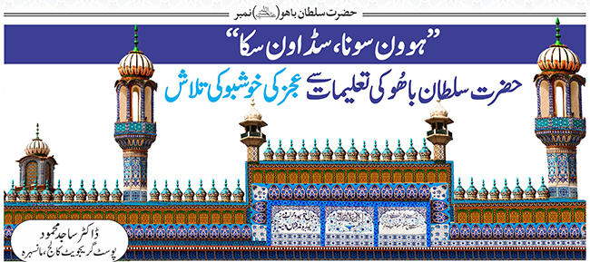 ہوون سونا سڈاون سکا